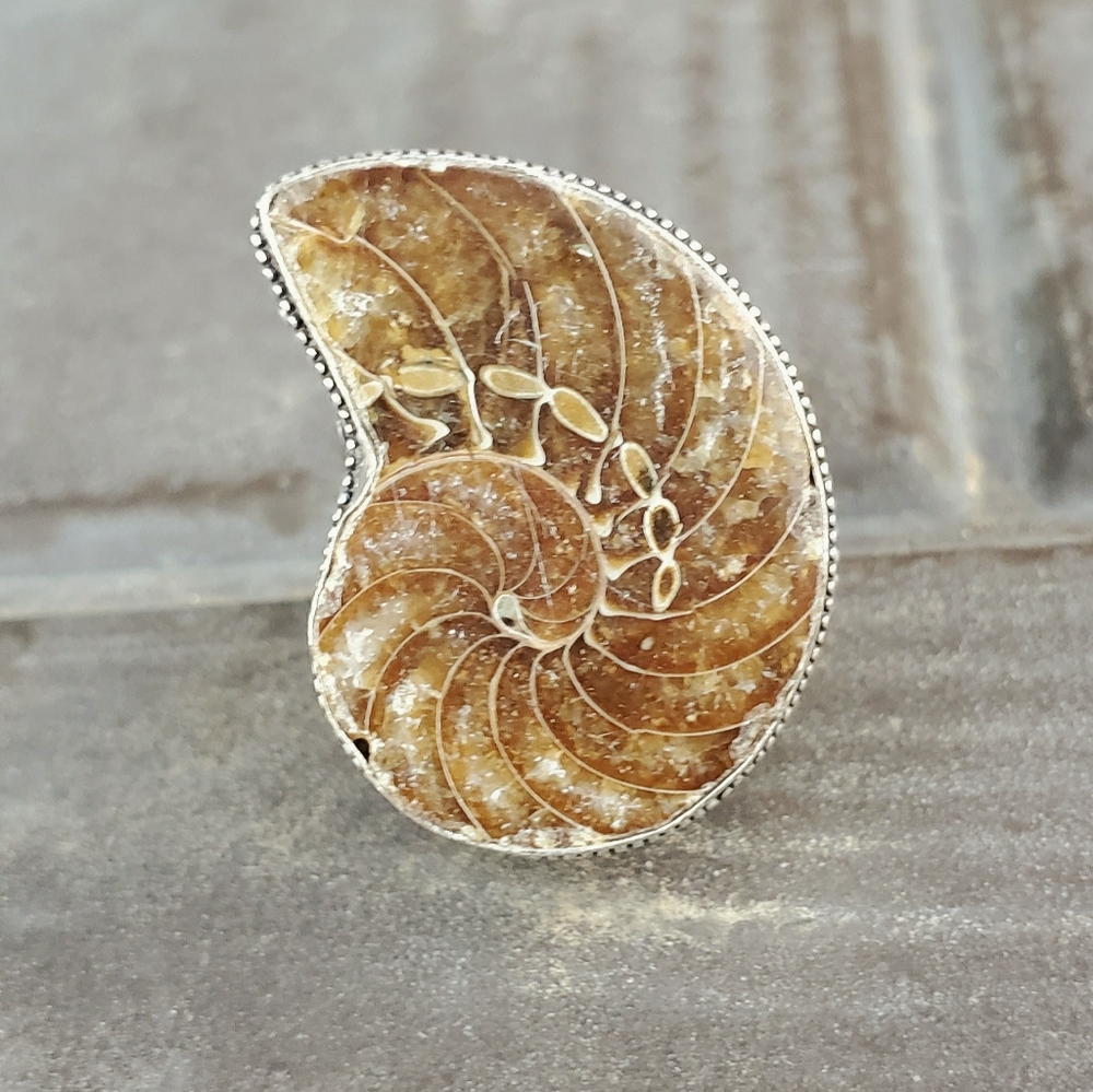 New Fossil Ammonite Silver Statement Ring.